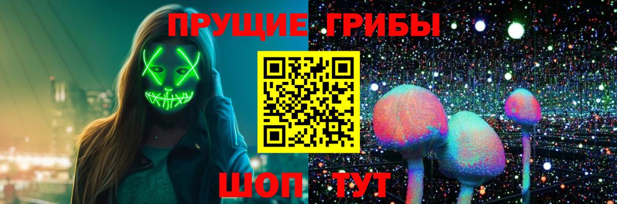 Псилоцибиновые грибы прущие грибы Новороссийск