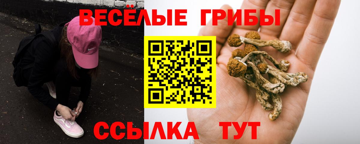 Бошки Шишки  Вход с VPN  Меф МЯУ МЯУ   КОКАИН  Экстази  МДМА  Новороссийск  ГАШИШ  Меф 
